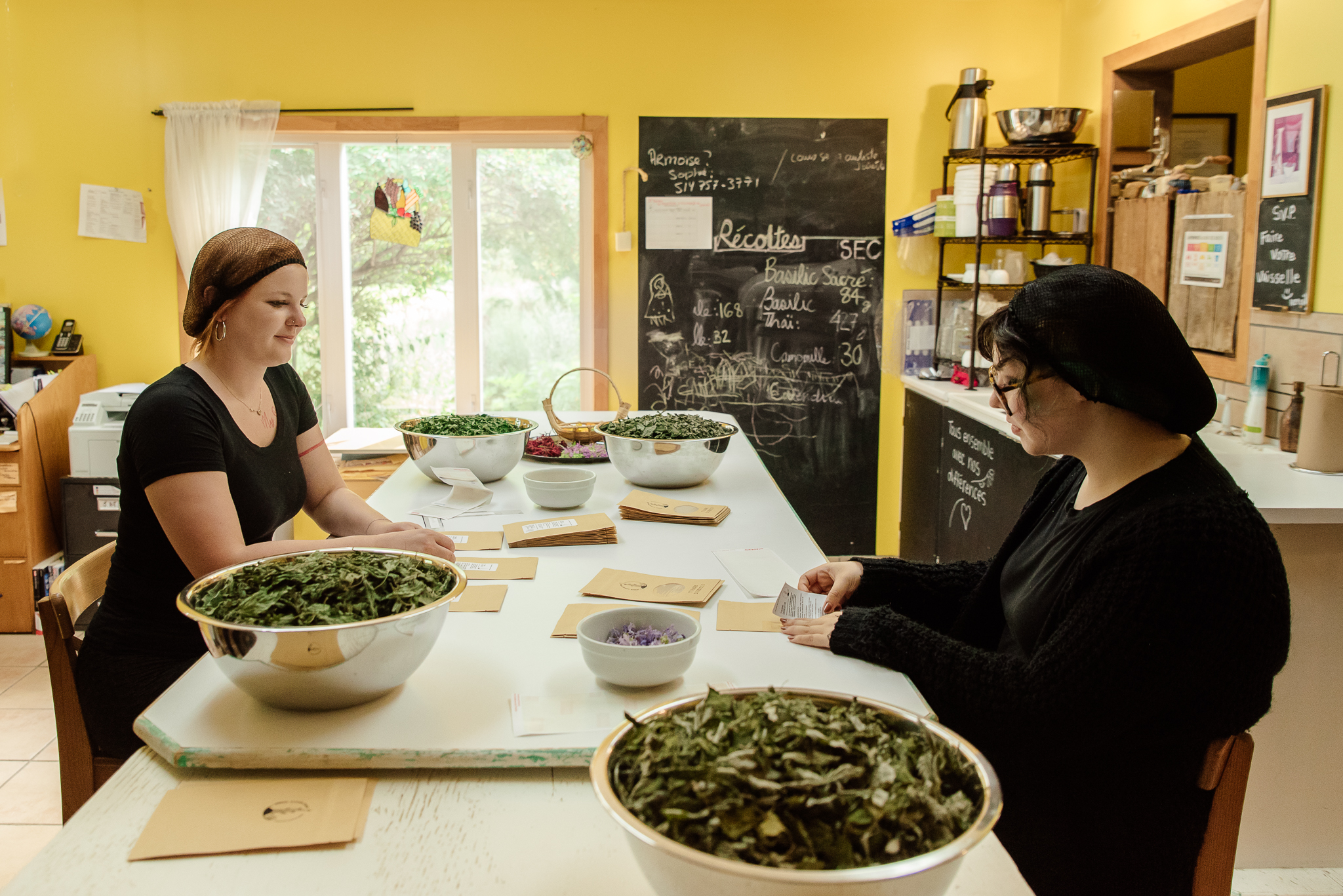 Web Jardin Humani terre 18