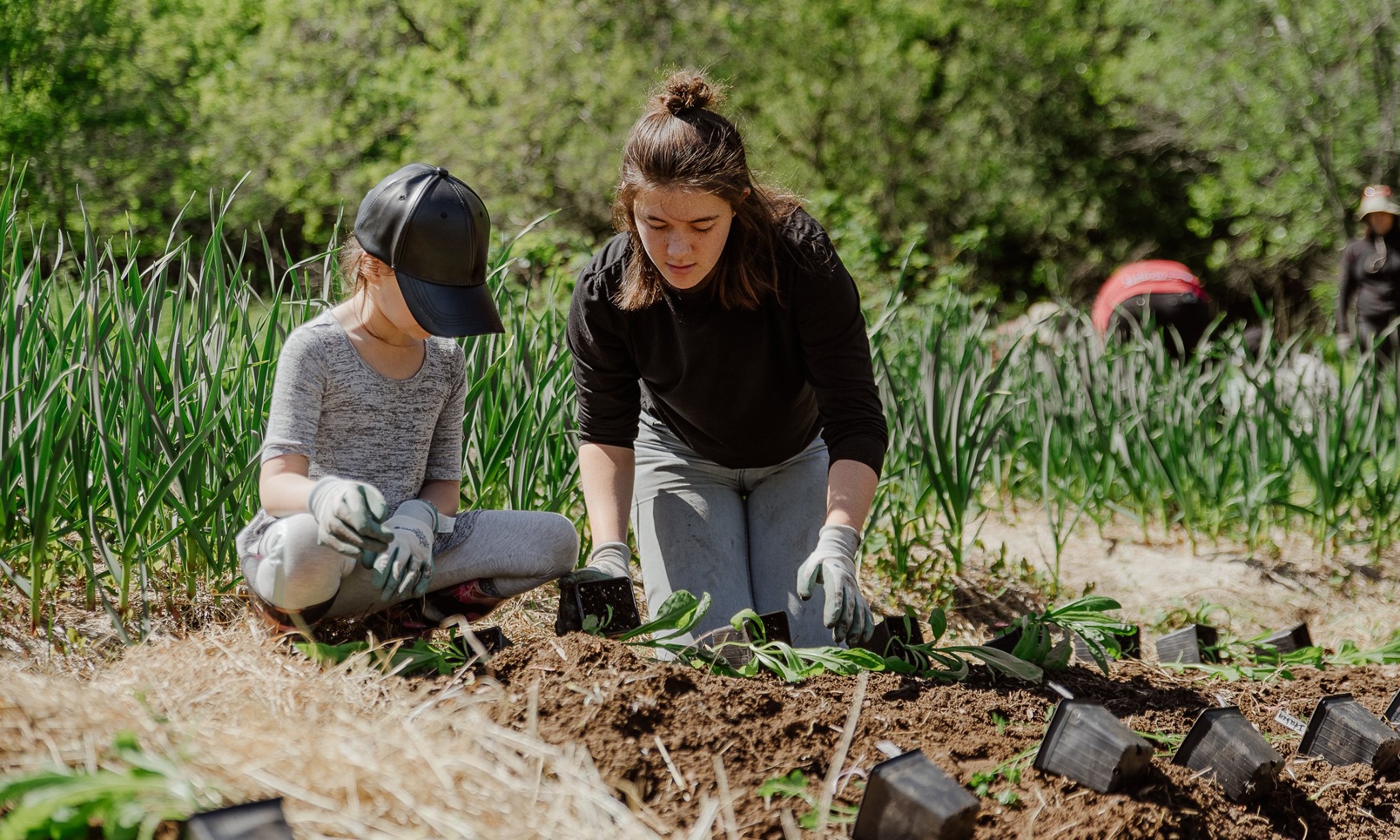 65091025 2242572246054302 7923895059718602752 n