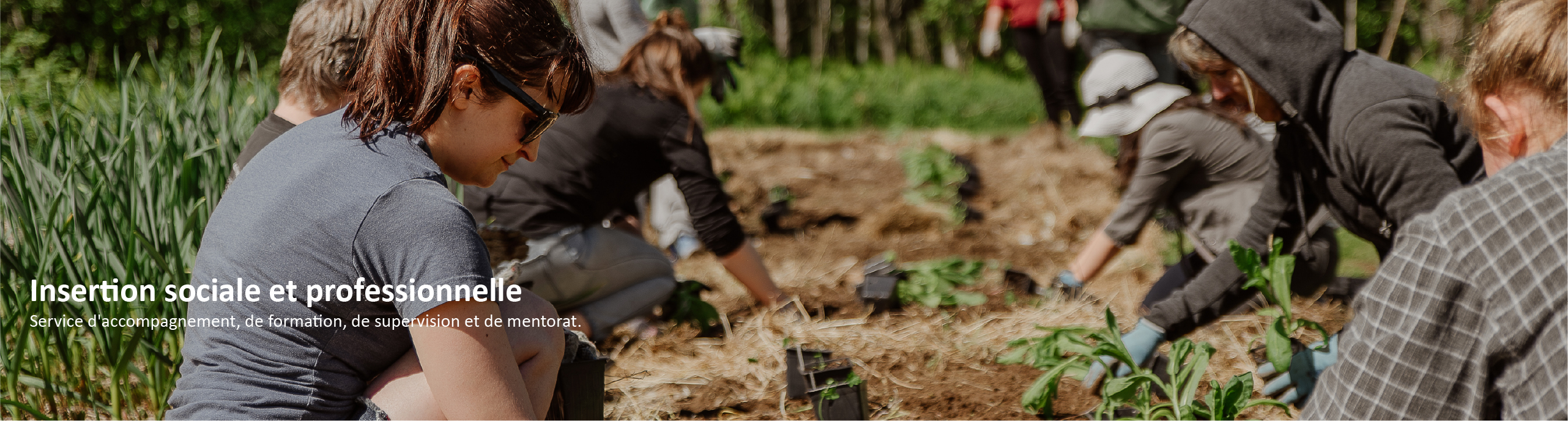 Photo et Texte Inser Soc Prof