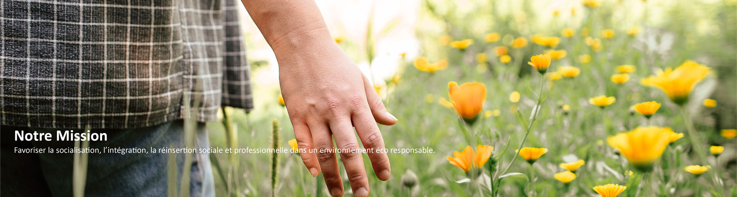 Photo et Texte Mission